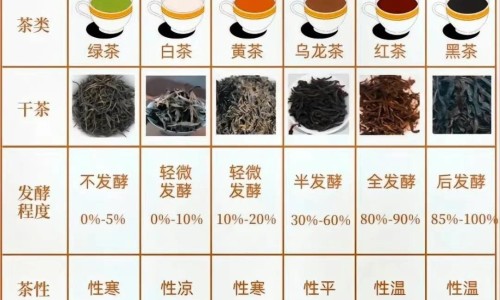 补心气口服液主治什么病症-天津格林国际幼儿园学费专区_补心气口服液主治什么病的专区_补心气口服液主治什么病网